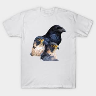 Raven and Falcons T-Shirt